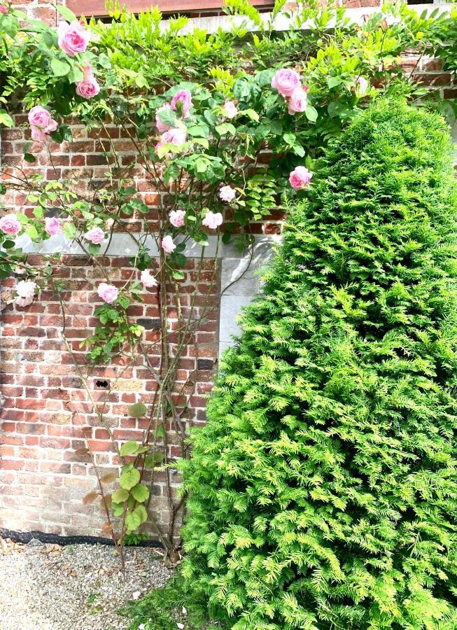 Studio - Tour D'Heloise - 10' De Bruxelles La Hulpe Eksteriør billede